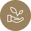 公正 科学